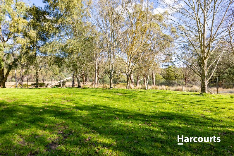 Photo - 3719 West Tamar Highway, Beaconsfield TAS 7270 - Image 14