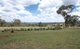 Photo - 372 Swanbrook Road, Inverell NSW 2360 - Image 30