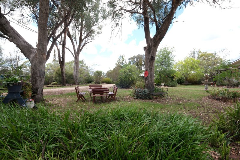 Photo - 372 Swanbrook Road, Inverell NSW 2360 - Image 31