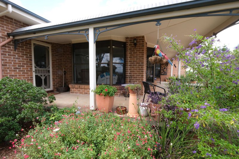 Photo - 372 Swanbrook Road, Inverell NSW 2360 - Image 33