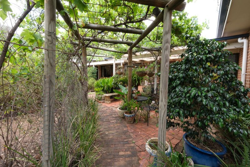 Photo - 372 Swanbrook Road, Inverell NSW 2360 - Image 34