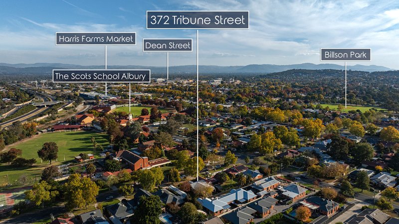 Photo - 372 Tribune Street, Albury NSW 2640 - Image 22