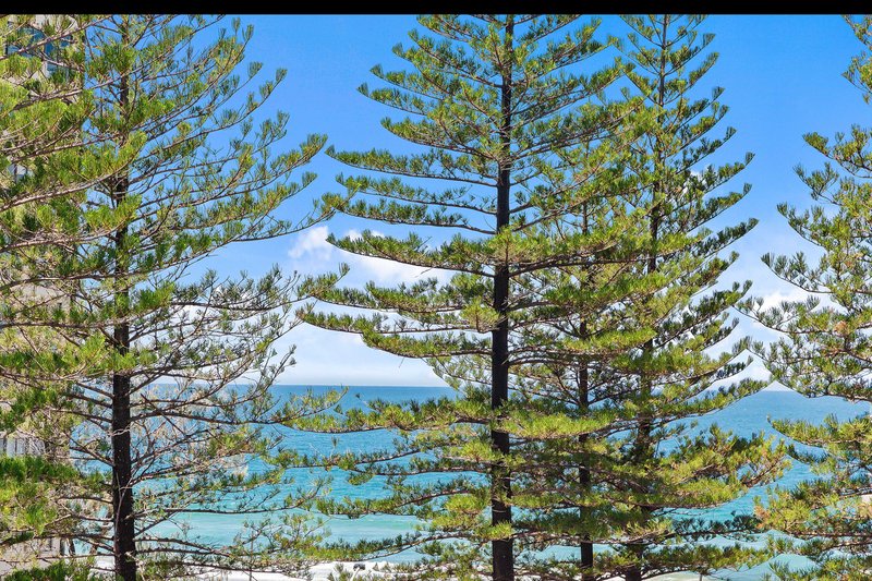 Photo - 37/24 Hamilton Avenue, Surfers Paradise QLD 4217 - Image 20