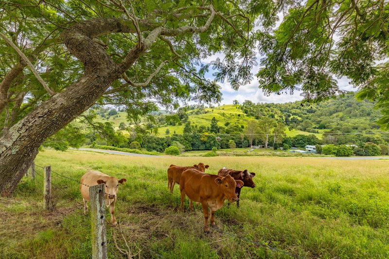 373-443 Delaney Creek Road, Delaneys Creek QLD 4514