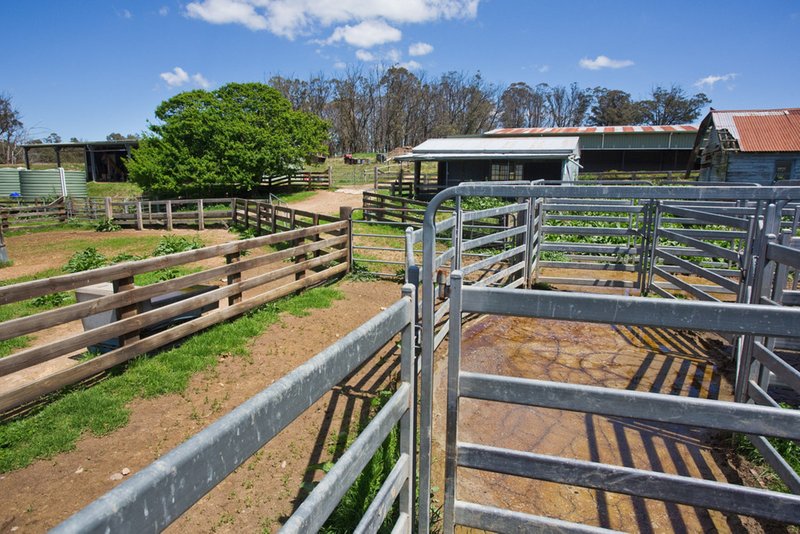 Photo - 373 Peach Tree Road, Megalong Valley NSW 2785 - Image 13