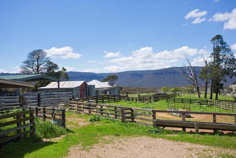 Photo - 373 Peach Tree Road, Megalong Valley NSW 2785 - Image 19