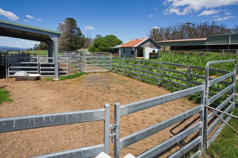 Photo - 373 Peach Tree Road, Megalong Valley NSW 2785 - Image 22