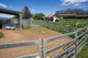 Photo - 373 Peach Tree Road, Megalong Valley NSW 2785 - Image 22