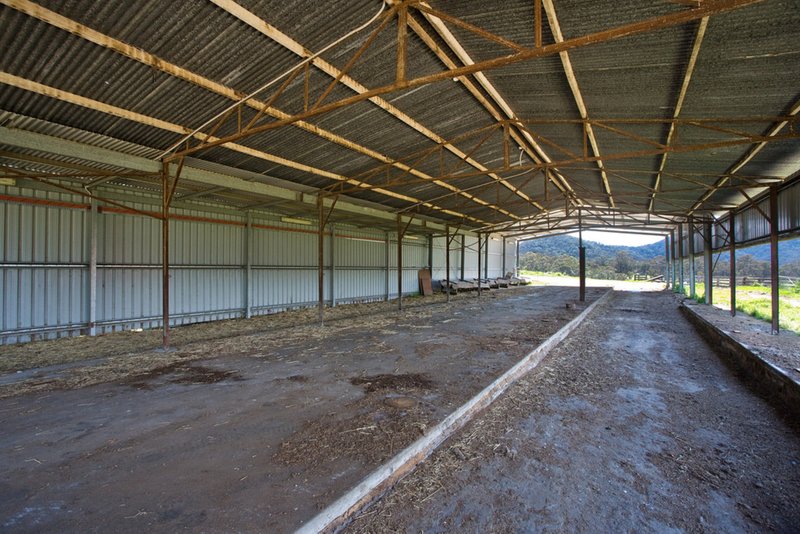 Photo - 373 Peach Tree Road, Megalong Valley NSW 2785 - Image 25