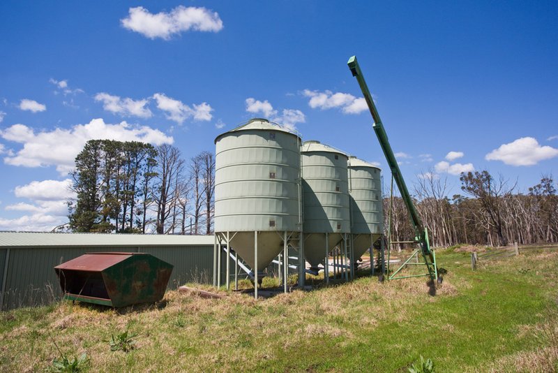 Photo - 373 Peach Tree Road, Megalong Valley NSW 2785 - Image 26