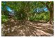 Photo - 373 Salamanca Street, Frenchville QLD 4701 - Image 12