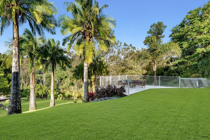 Photo - 373 Tallebudgera Connection Road, Tallebudgera QLD 4228 - Image 7