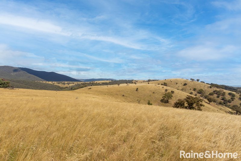 Photo - 374 Clear Creek Road, Clear Creek NSW 2795 - Image 2