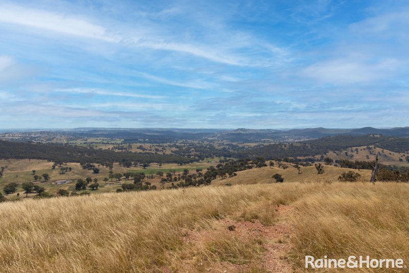 Photo - 374 Clear Creek Road, Clear Creek NSW 2795 - Image 3