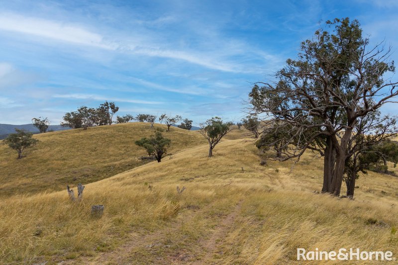 Photo - 374 Clear Creek Road, Clear Creek NSW 2795 - Image 18