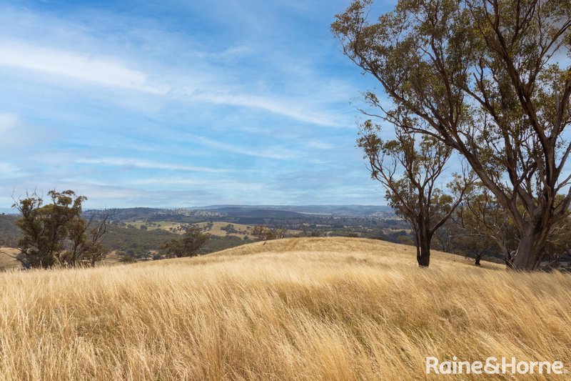 Photo - 374 Clear Creek Road, Clear Creek NSW 2795 - Image 20