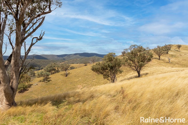 Photo - 374 Clear Creek Road, Clear Creek NSW 2795 - Image 21