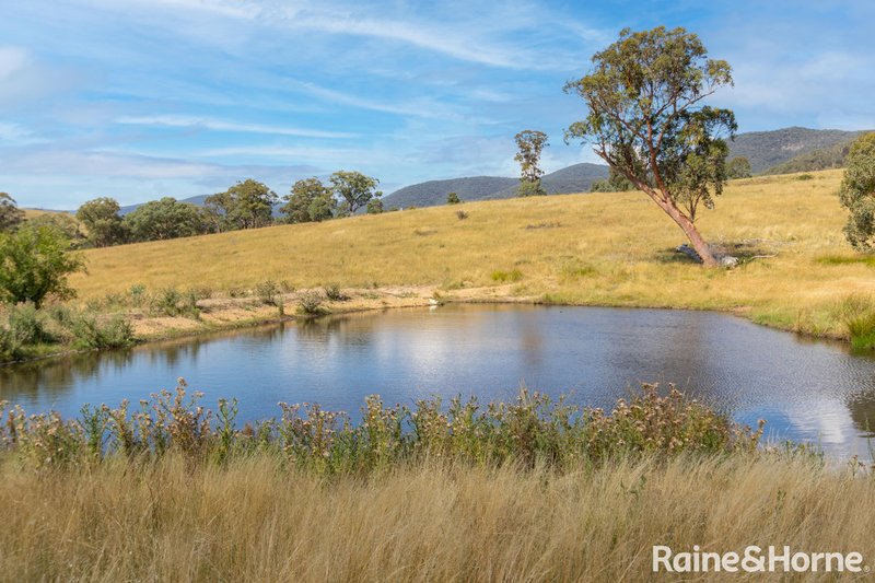 Photo - 374 Clear Creek Road, Clear Creek NSW 2795 - Image 24