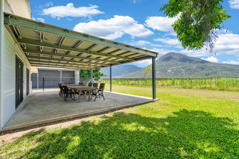 Photo - 375-377 Anderson Road, Aloomba QLD 4871 - Image 16