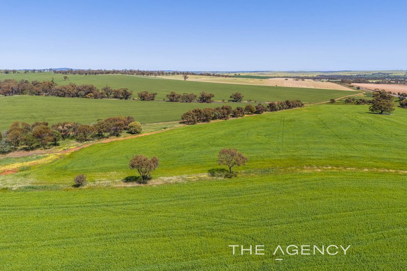 Photo - 375 Christmas Road, Muluckine WA 6401 - Image 4