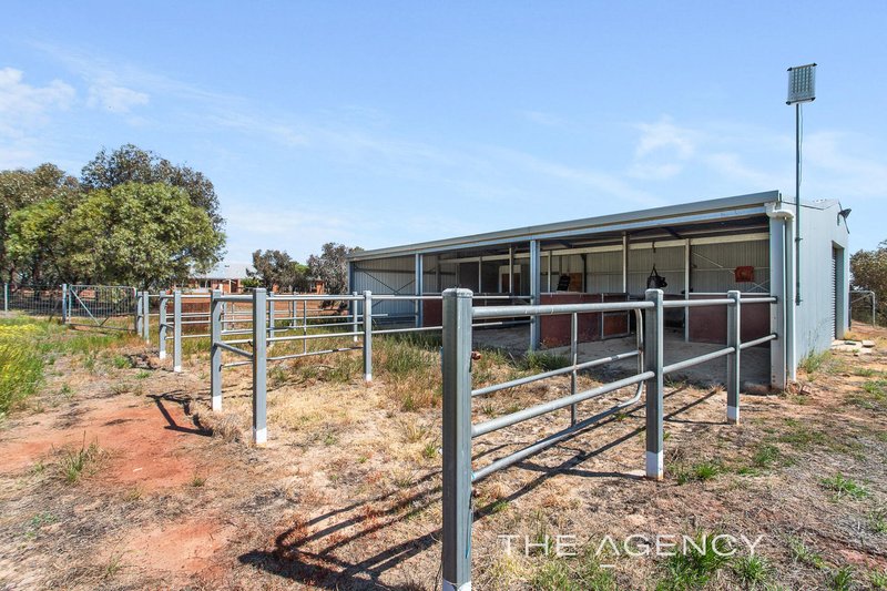 Photo - 375 Christmas Road, Muluckine WA 6401 - Image 33