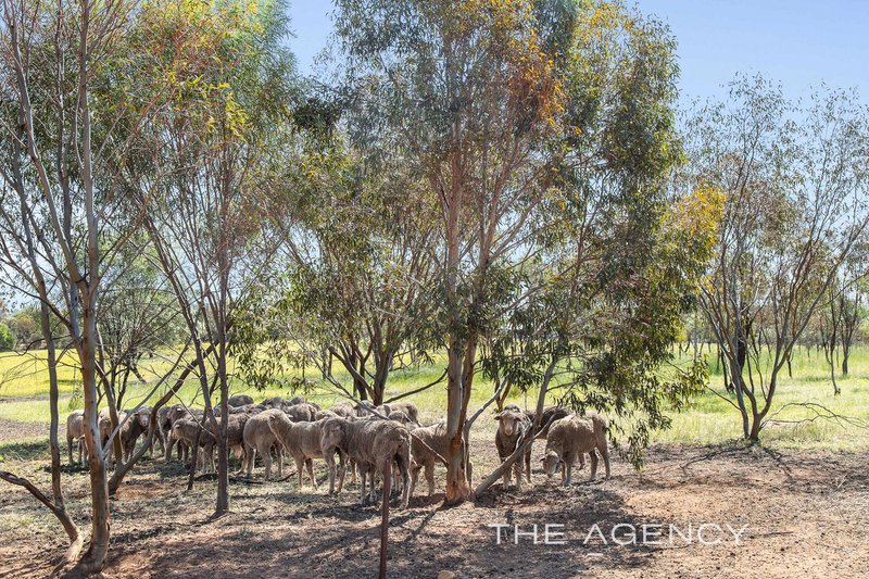 Photo - 375 Christmas Road, Muluckine WA 6401 - Image 34