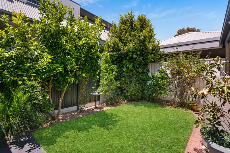 Photo - 3/75 Daly Street, Kurralta Park SA 5037 - Image 10