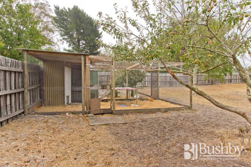 Photo - 375 Gravelly Beach Road, Gravelly Beach TAS 7276 - Image 6