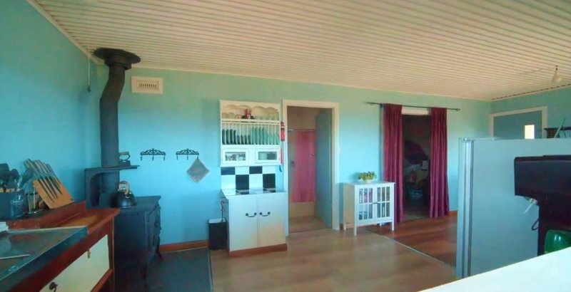 Photo - 375 Killiecrankie Road, Killiecrankie TAS 7255 - Image 4