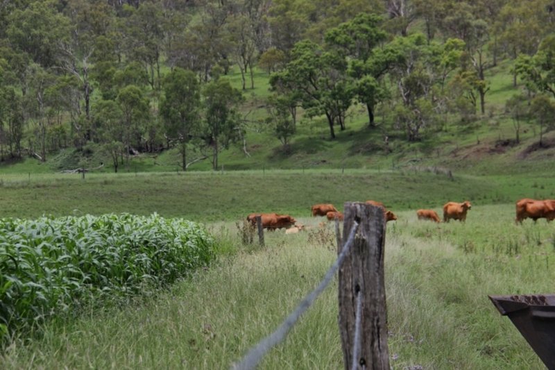 Photo - 375 North Branch Road, Maryvale QLD 4370 - Image 7