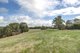 Photo - 376 Cut Hill Road, Kangarilla SA 5157 - Image 6