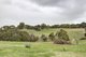 Photo - 376 Cut Hill Road, Kangarilla SA 5157 - Image 13