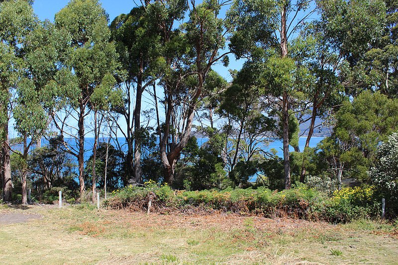 Photo - 377 Pirates Bay Drive, Eaglehawk Neck TAS 7179 - Image 6