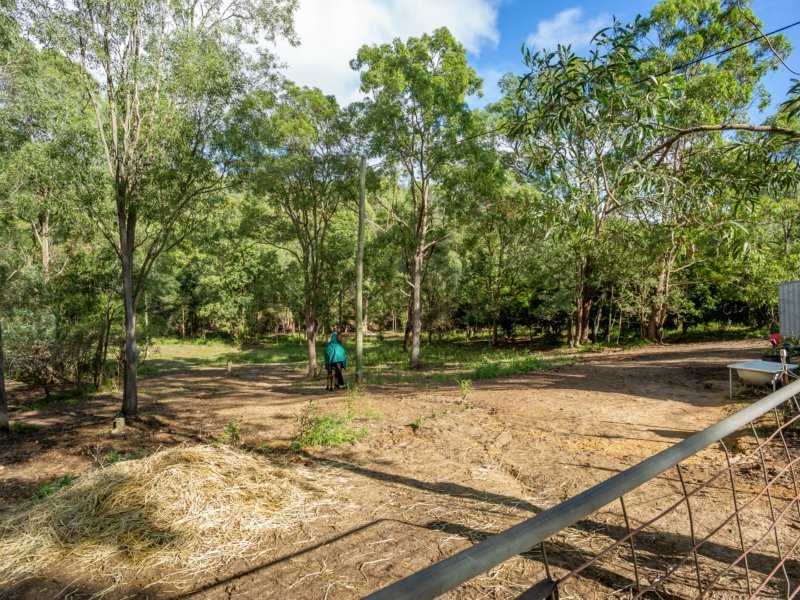 Photo - 377 Worongary Road, Tallai QLD 4213 - Image 17