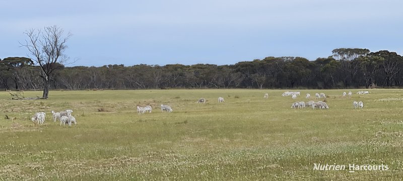 Photo - 37723 South Coast Highway, Wellstead WA 6328 - Image 14