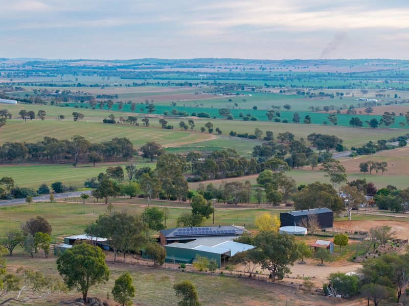 Photo - 3779 Olympic Highway, Junee NSW 2663 - Image 1