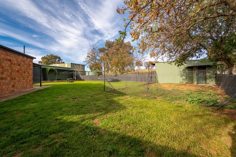 Photo - 3779 Olympic Highway, Junee NSW 2663 - Image 19