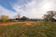 Photo - 3779 Olympic Highway, Junee NSW 2663 - Image 27