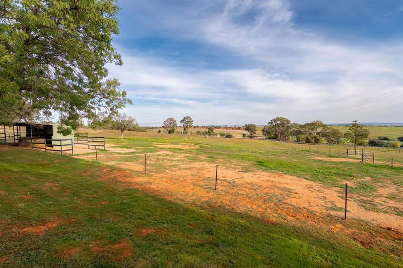 Photo - 3779 Olympic Highway, Junee NSW 2663 - Image 29