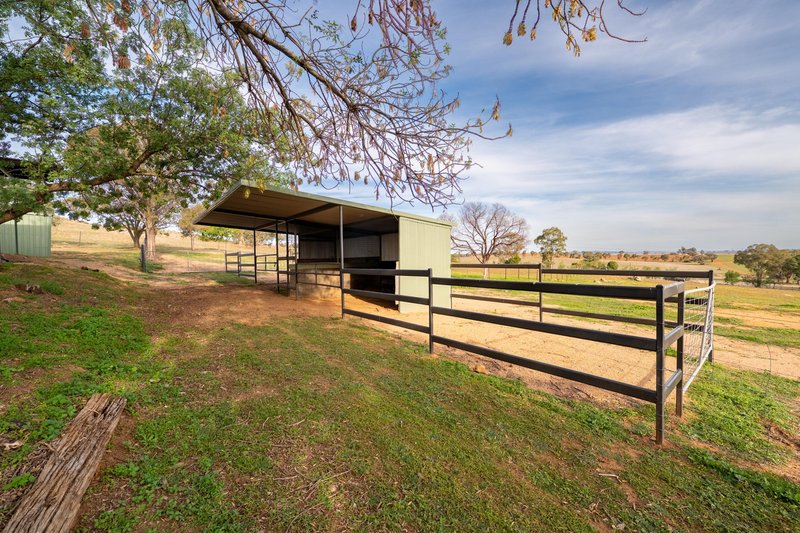 Photo - 3779 Olympic Highway, Junee NSW 2663 - Image 30
