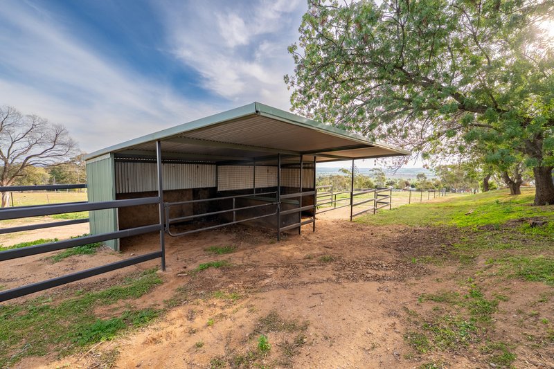Photo - 3779 Olympic Highway, Junee NSW 2663 - Image 31