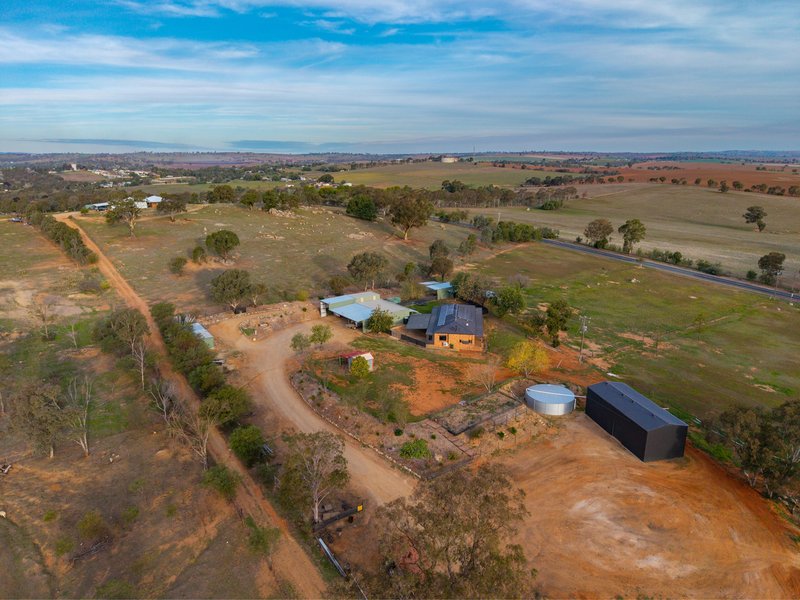 Photo - 3779 Olympic Highway, Junee NSW 2663 - Image 32