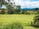 Photo - 378 Christmas Creek Rd , Laravale QLD 4285 - Image 2