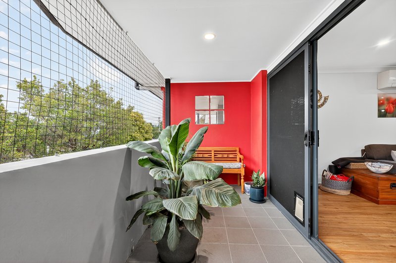 Photo - 3/79 Ryans Road, Northgate QLD 4013 - Image 2