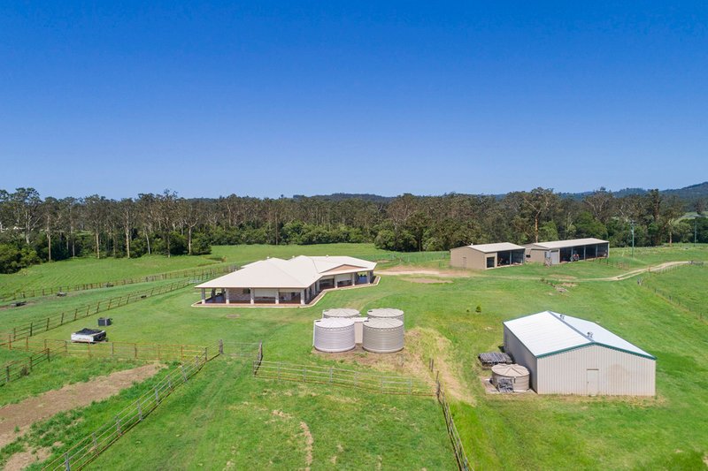 Photo - 379 Skyring Creek Road, Belli Park QLD 4562 - Image 12