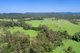 Photo - 379 Skyring Creek Road, Belli Park QLD 4562 - Image 14