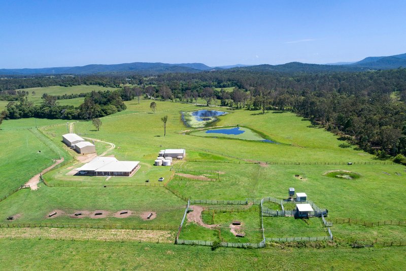 Photo - 379 Skyring Creek Road, Belli Park QLD 4562 - Image 17