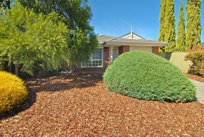 Photo - 37A Melville Road, Paradise SA 5075 - Image 3