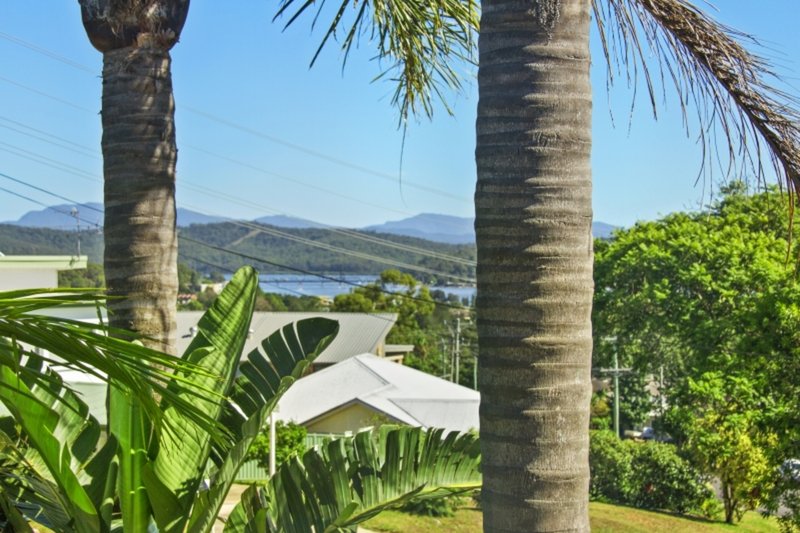 Photo - 37a Ridge Street, Catalina NSW 2536 - Image 18