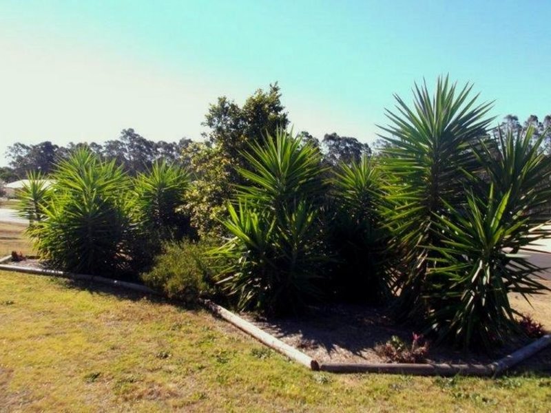 Photo - 38 - 40 Lorikeet Circuit, Kingaroy QLD 4610 - Image 13